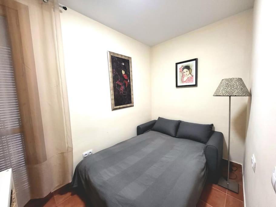 Flamenco, Apartamento Exclusivo De Dos Habitaciones En El Pleno Del Casco Antiguo, Alicante, Playa, Centro Historico, Rambla エクステリア 写真